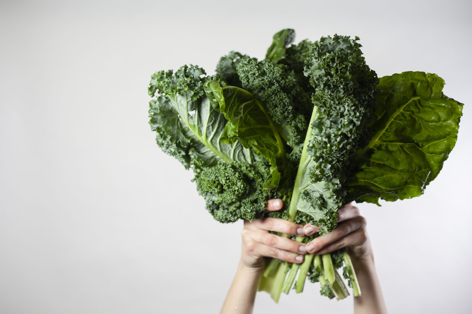 person holding up large kale