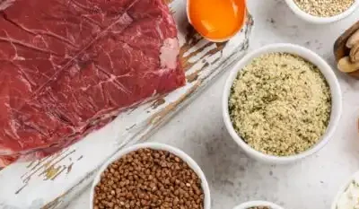 Best Protein Sources and Protein Quantity