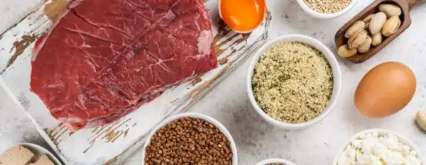 Best Protein Sources and Protein Quantity