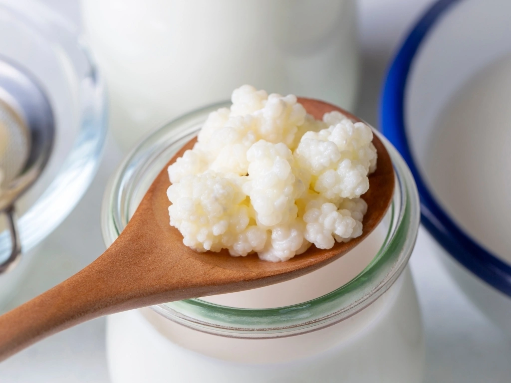 Wooden spoon scooping milk kefir grains from a jar of fermented milk