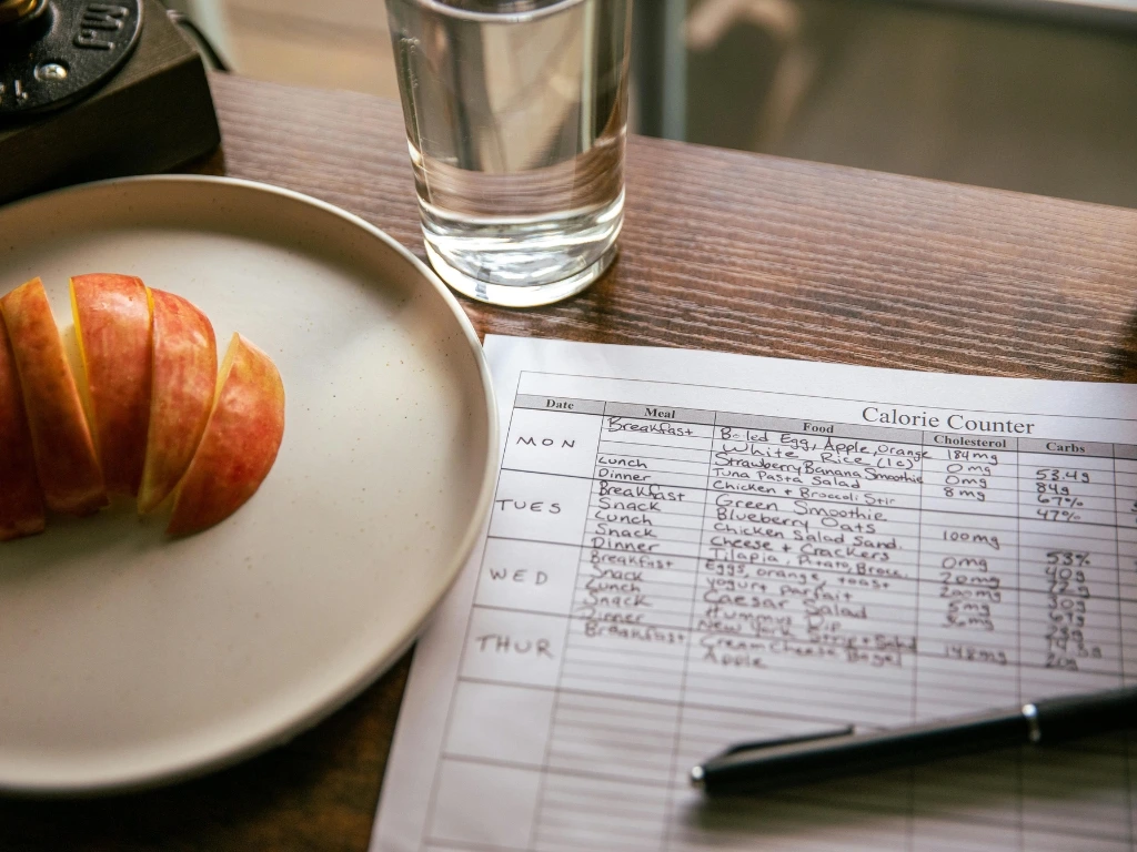 One-page calorie counting sheet with handwritten notes and a black pen, next to a plate with apple slices and a glass of water
