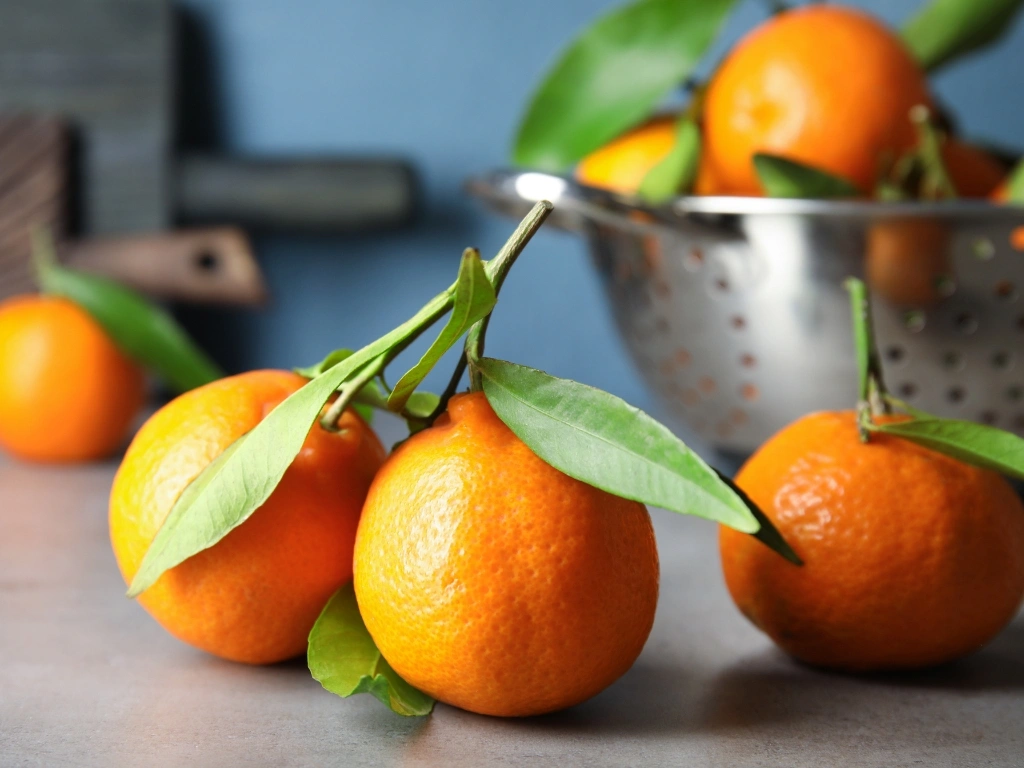 Fresh tangerines with green leaves on a table, with a metal colander full of fruit behind them