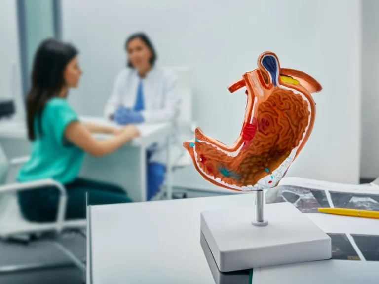 Anatomical stomach model displayed at the forefront while a doctor speaks with a woman in the background