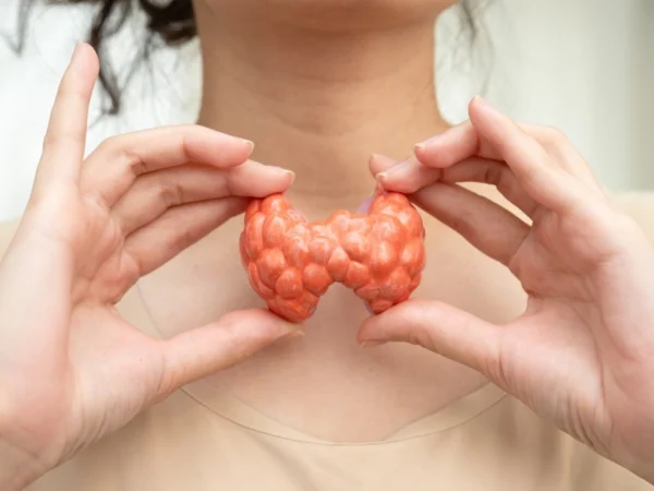 A woman holding a human anatomy model of the thyroid gland